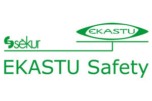 Ekastu